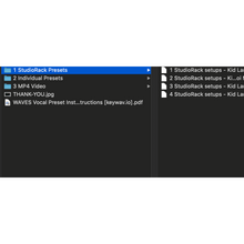 Load image into Gallery viewer, &quot;How It Goes&quot; WAVES Vocal Chain Preset
