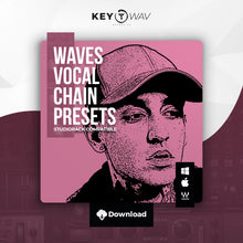 Load image into Gallery viewer, &quot;Wasted&quot; WAVES Vocal Chain Preset

